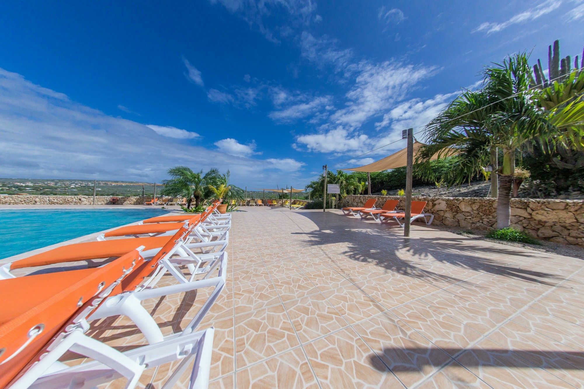 Hillside Resort Bonaire Playa Dış mekan fotoğraf